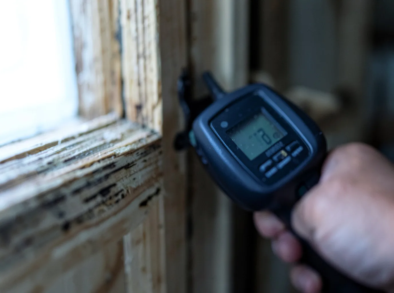 Commercial Water Damage Restoration in Venus, FL